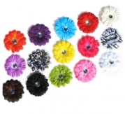 Ema Jane - 15 Cute Assorted Ema Jane Boutique Quality Small Gerber Daisy Hair Clip Bows (Headbands Not Included) - Infant, Baby, Toddlers, Youth, Young Girls (Headbands Not Included) - Hair Clip Attaches to a Headband or Beanie