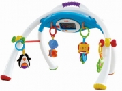 Fisher-Price Apptivity Gym for iPhone & iPod Touch Devices