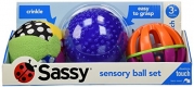 Sassy Developmental Sensory Ball Set